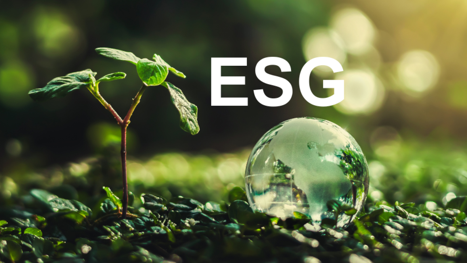 ESG Report 2024