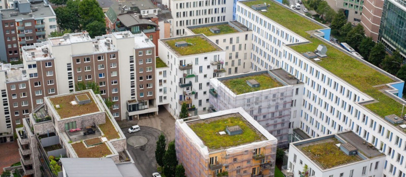 The City as a Sponge: Engineering Responses and the Importance of "Special Structures"