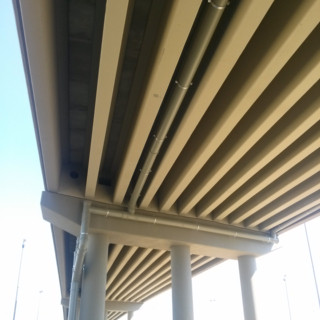 CAM02385.jpg