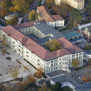 A_balatonfüredi_szívkórház_madártávlatból.jpg